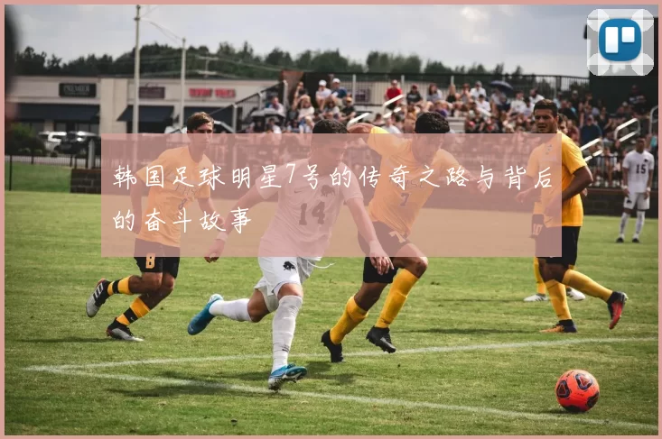 韩国足球明星7号的传奇之路与背后的奋斗故事