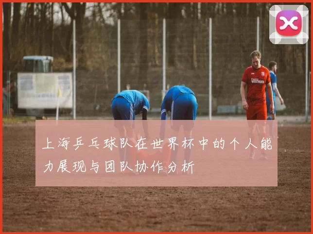 上海乒乓球队在世界杯中的个人能力展现与团队协作分析