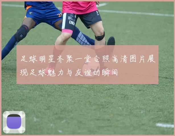 足球明星齐聚一堂合照高清图片展现足球魅力与友谊的瞬间