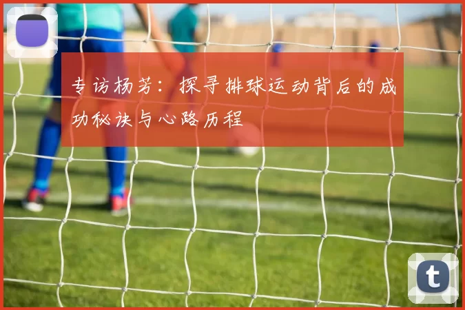 专访杨芳：探寻排球运动背后的成功秘诀与心路历程