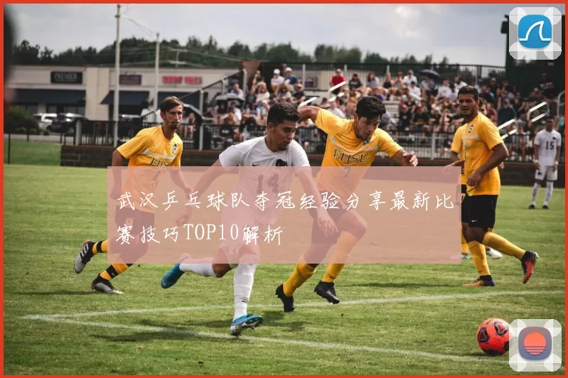 武汉乒乓球队夺冠经验分享最新比赛技巧TOP10解析