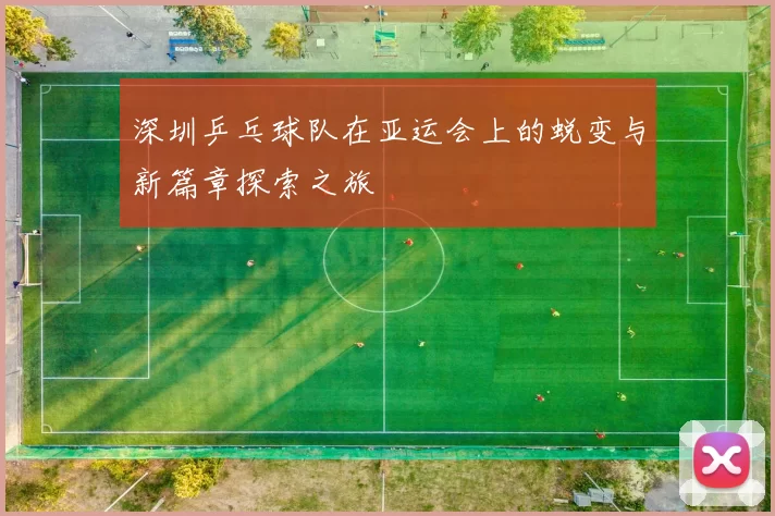 深圳乒乓球队在亚运会上的蜕变与新篇章探索之旅