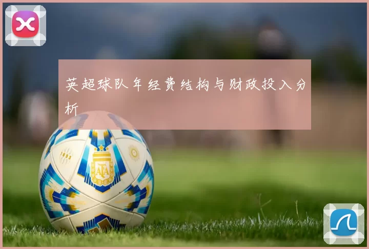 英超球队年经费结构与财政投入分析