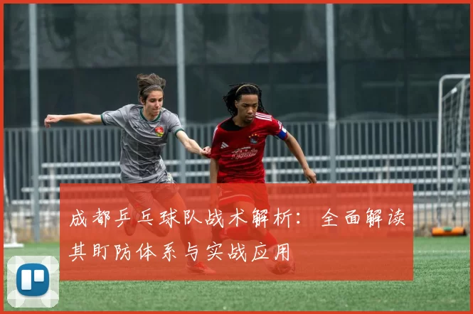 成都乒乓球队战术解析：全面解读其盯防体系与实战应用