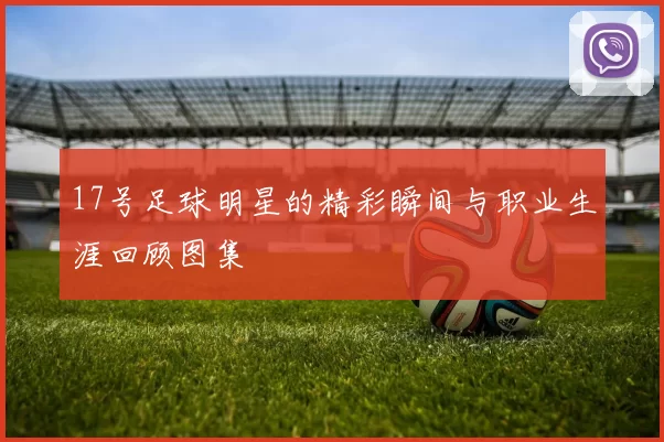 17号足球明星的精彩瞬间与职业生涯回顾图集