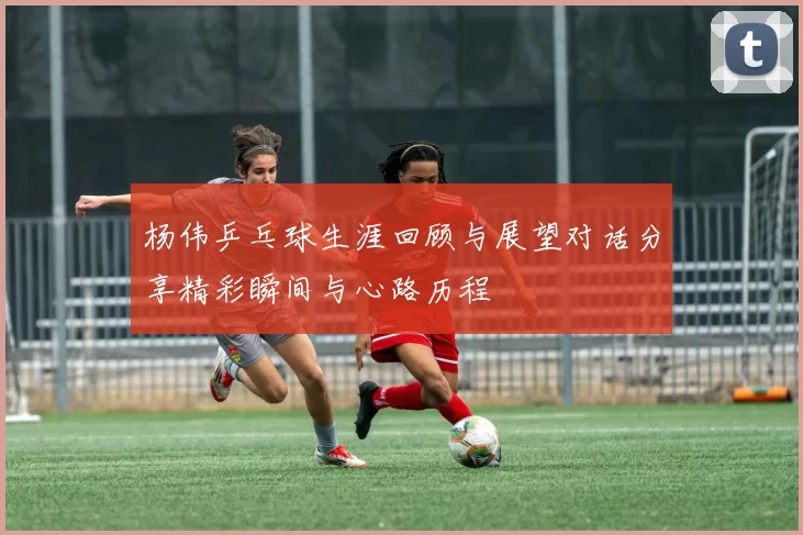 杨伟乒乓球生涯回顾与展望对话分享精彩瞬间与心路历程