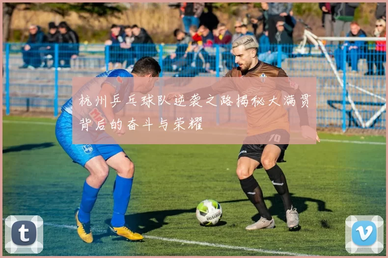 杭州乒乓球队逆袭之路揭秘大满贯背后的奋斗与荣耀