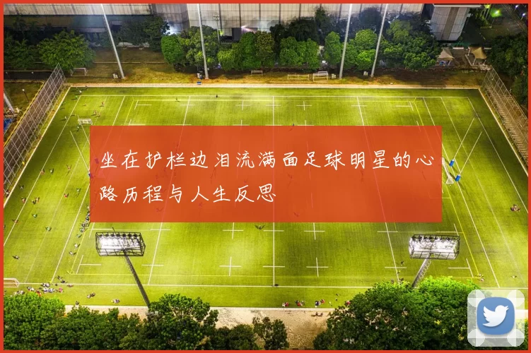 坐在护栏边泪流满面足球明星的心路历程与人生反思