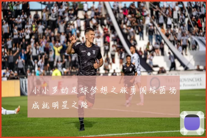 小小罗的足球梦想之旅勇闯绿茵场成就明星之路