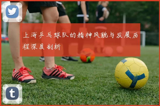 上海乒乓球队的精神风貌与发展历程深度剖析
