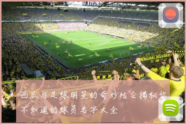 西瓜与足球明星的奇妙结合揭秘你不知道的球员名字大全