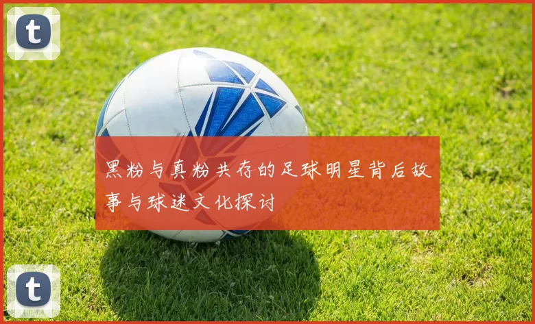 黑粉与真粉共存的足球明星背后故事与球迷文化探讨