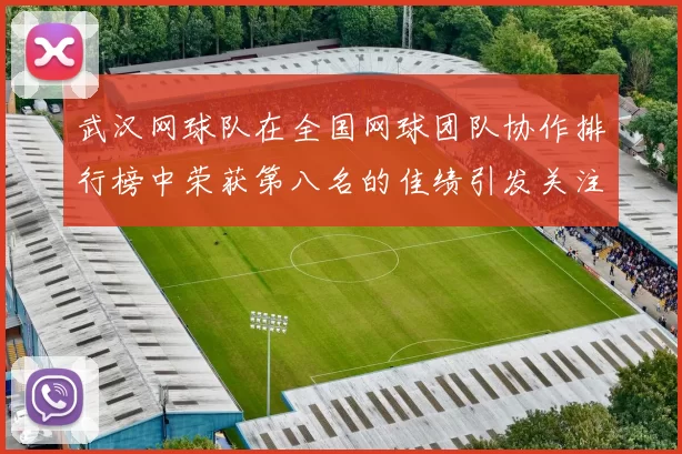 武汉网球队在全国网球团队协作排行榜中荣获第八名的佳绩引发关注