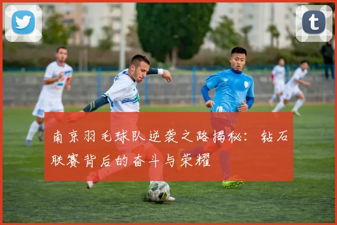 南京羽毛球队逆袭之路揭秘：钻石联赛背后的奋斗与荣耀