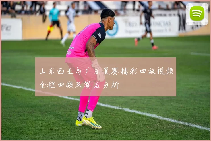 山东西王与广东复赛精彩回放视频全程回顾及赛后分析