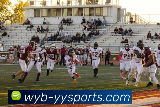 多媒体互动体验